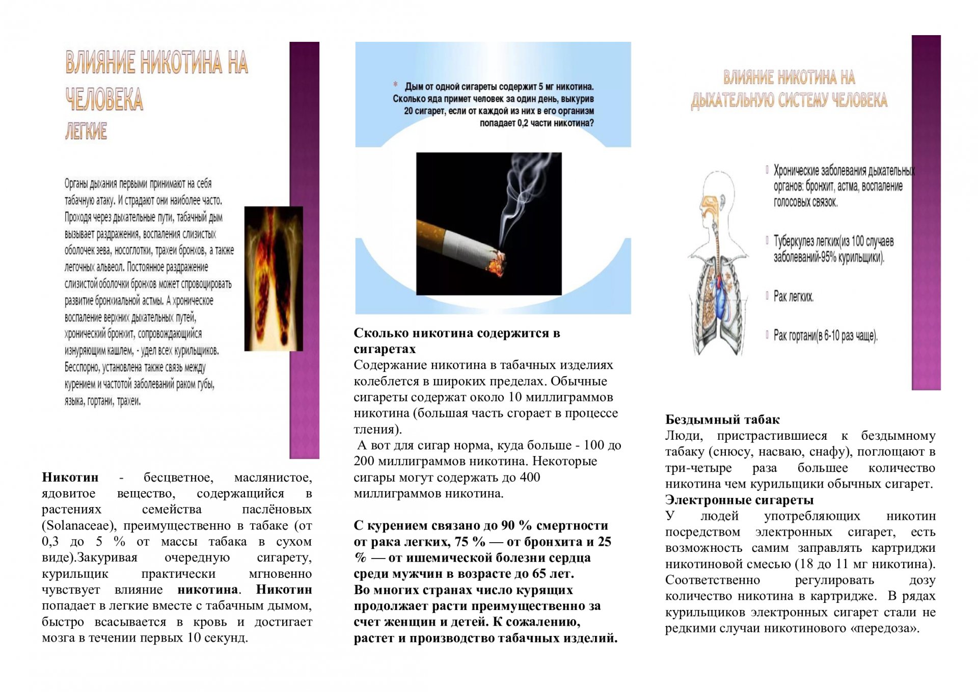 31 мая Всемирный день без табака. :: Новости :: Государственное автономное  учреждение социального обслуживания населения Свердловской области  «Комплексный центр социального обслуживания населения Сухоложского района»